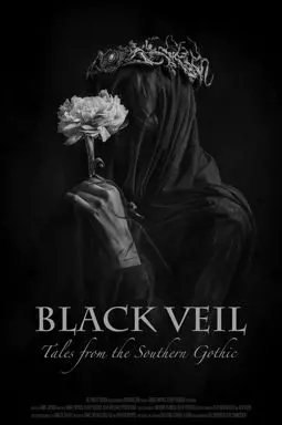 Black Veil - постер