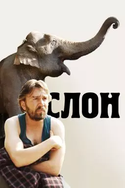 Слон - постер