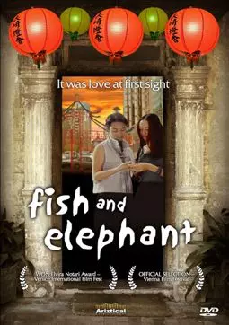 Рыба и слон - постер