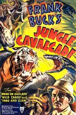 Jungle Cavalcade - постер
