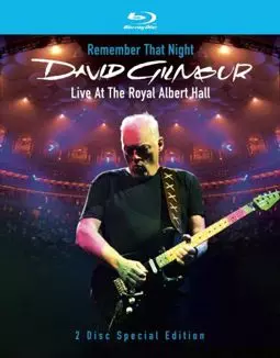 David Gilmour Remember That Night - постер