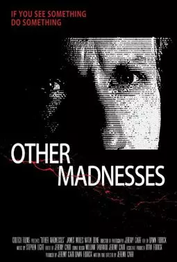 Other Madnesses - постер