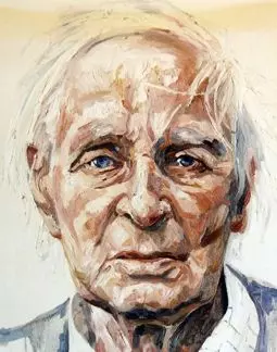 Hasten Slowly: The Journey of Sir Laurens van der Post - постер
