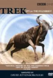 BBC: Великое переселение антилоп гну. Переправа - постер