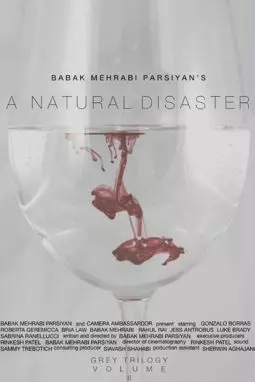 A atural Disaster - постер