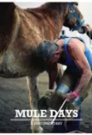 Mule Days - постер