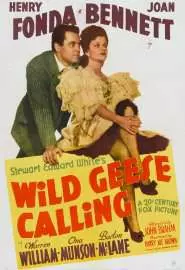 Wild Geese Calling - постер