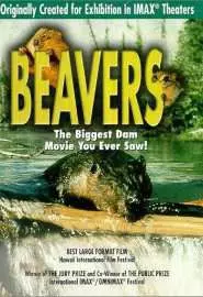 Beavers - постер