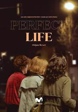 Идеальная жизнь - постер