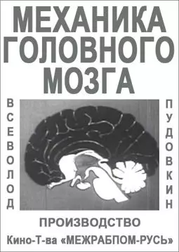 Механика головного мозга - постер