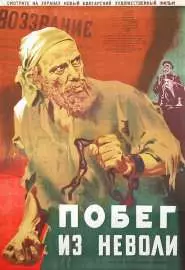 Побег из неволи - постер