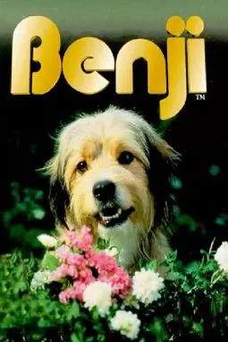 Бенджи - постер