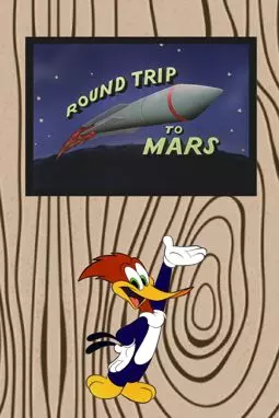 Round Trip to Mars - постер