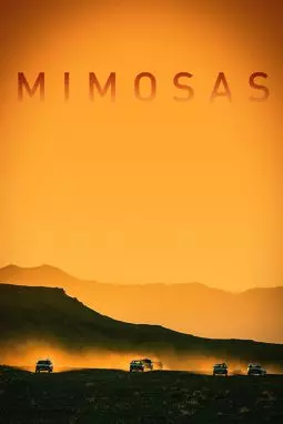 Мимозы - постер