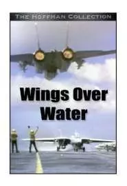 Крылья над водой - постер