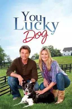 You Lucky Dog - постер