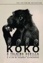 Коко, говорящая горилла - постер
