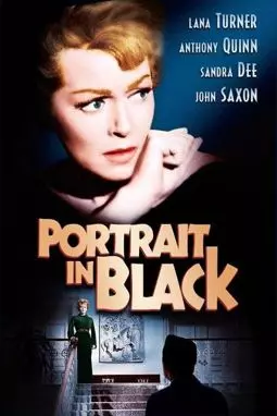 Портрет в черных тонах - постер