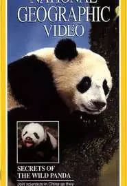 Secrets of the Wild Panda - постер