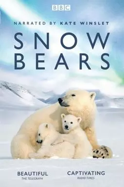 Снежные медведи - постер