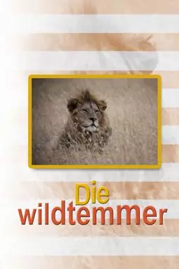 Die Wildtemmer - постер