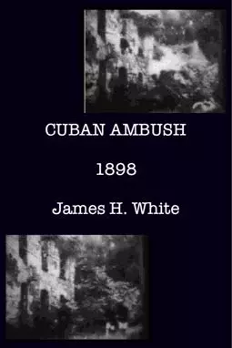 Cuban Ambush - постер
