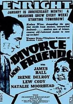 Divorce Among Friends - постер