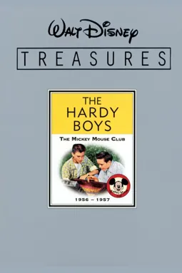 The Hardy Boys: From Dixon to Disney - постер