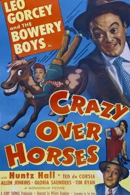 Crazy Over Horses - постер