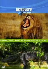 Discovery. Схватка: Лев против крокодила - постер