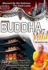 Buddha Wild: Monk in a Hut - постер