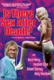 Is There Sex After Death? - постер