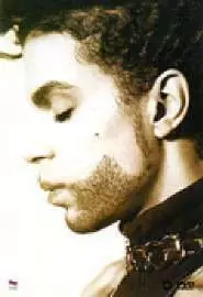 Prince: The Hits Collection - постер