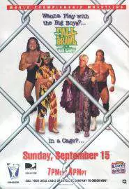 WCW Жесткая драка 1996 - постер