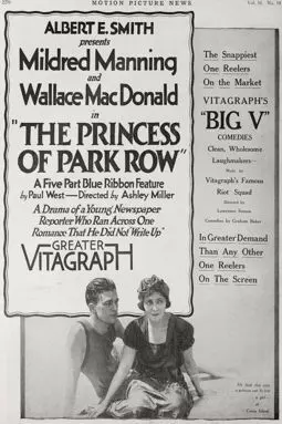 The Princess of Park Row - постер