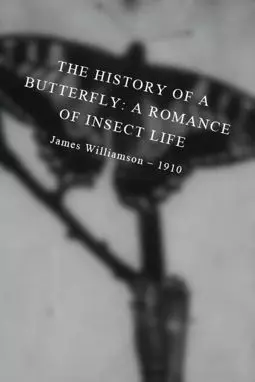 The History of a Butterfly: A Romance of Insect Life - постер