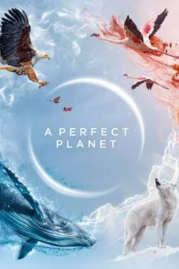 Идеальная планета - постер
