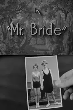 Mr. Bride - постер