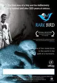 Rare Bird - постер