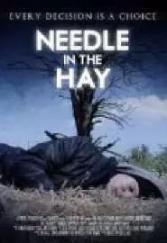 Needle in the Hay - постер