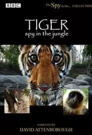 Тигр: Шпион в джунглях - постер
