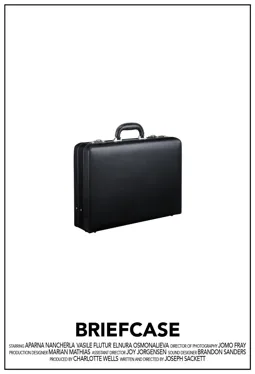 Briefcase - постер