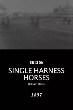 Single Harness Horses - постер