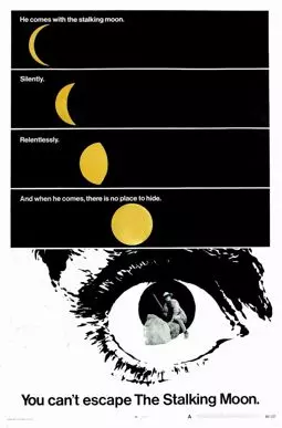 Восходящая луна - постер