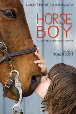 Мальчик и лошади - постер