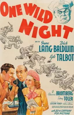 One Wild night - постер