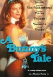 A Bunny's Tale - постер