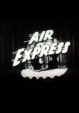 The Air Express - постер
