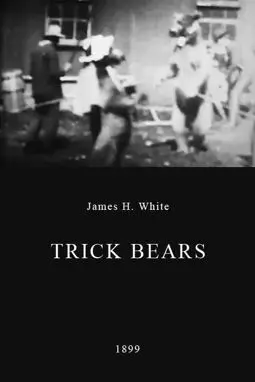 Trick Bears - постер