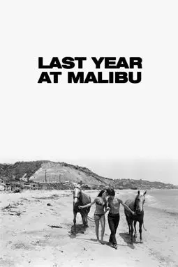 Last Year at Malibu - постер